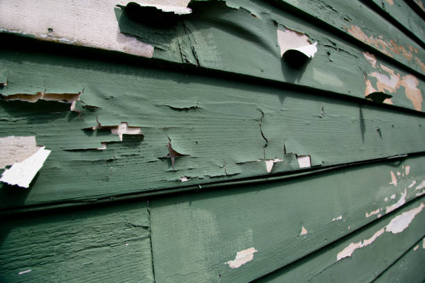 Merryville, LA Siding Installation & Repair Company